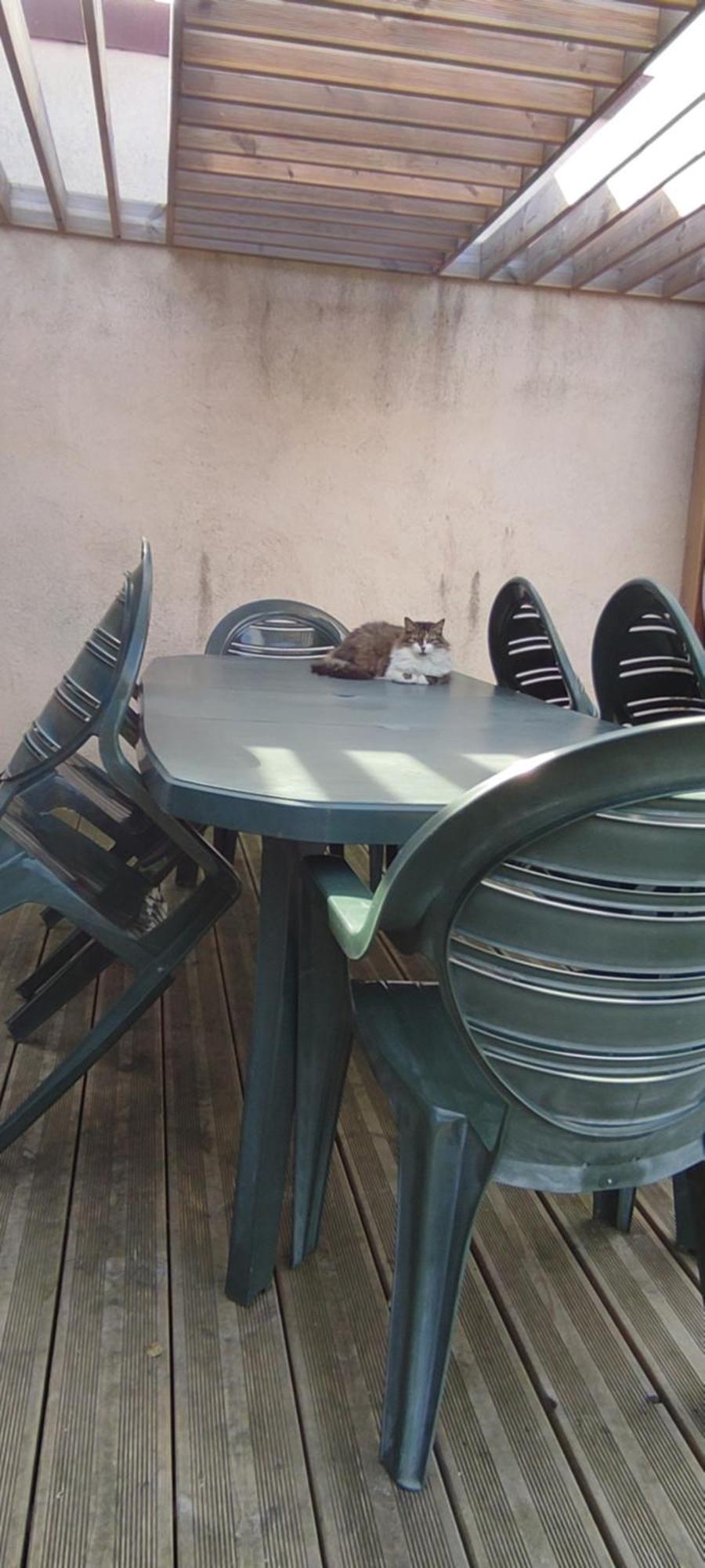 Berck Maison De Vacances Avec Terrasse Et Jardin, Екстериор снимка